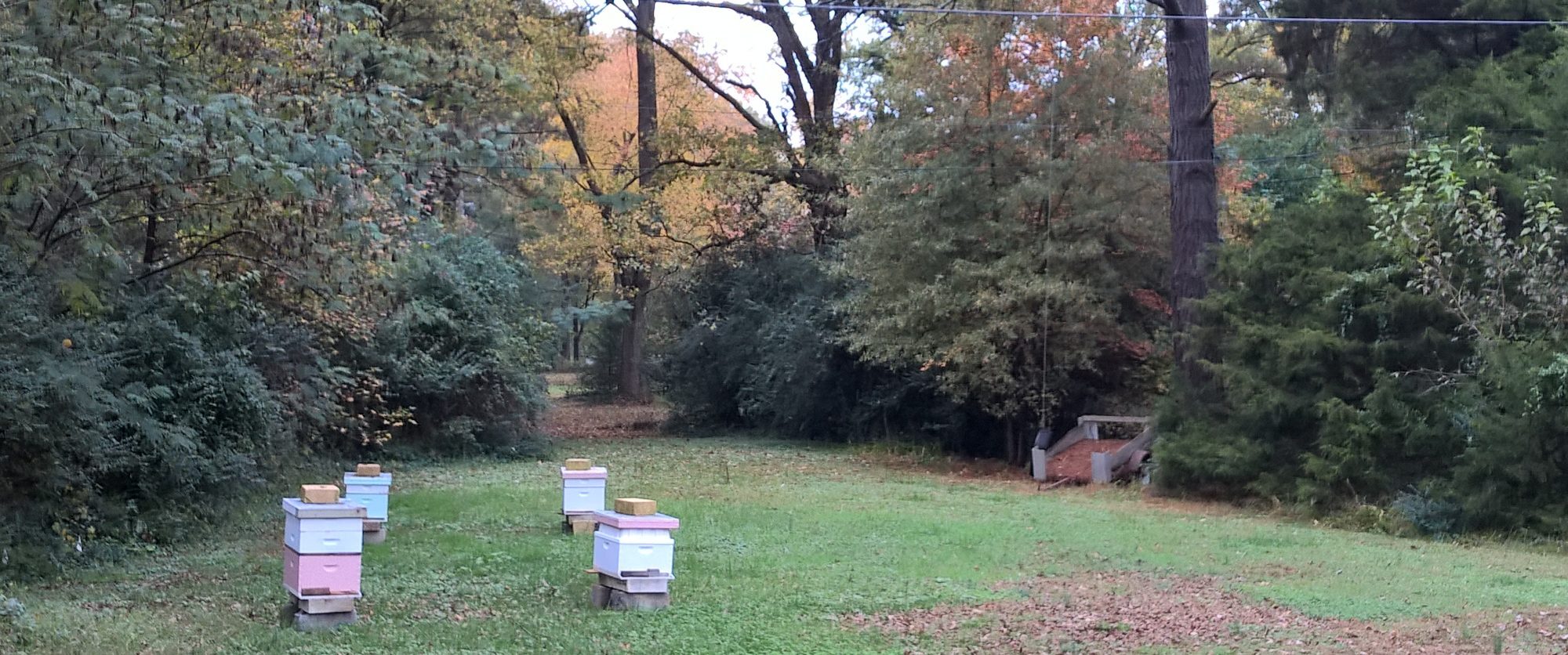 Virginia State Beekeepers Association - Home