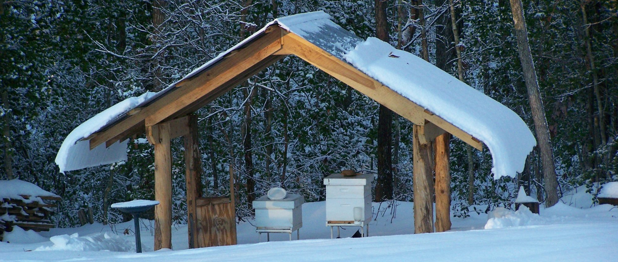 Ashland Beekeepers Association